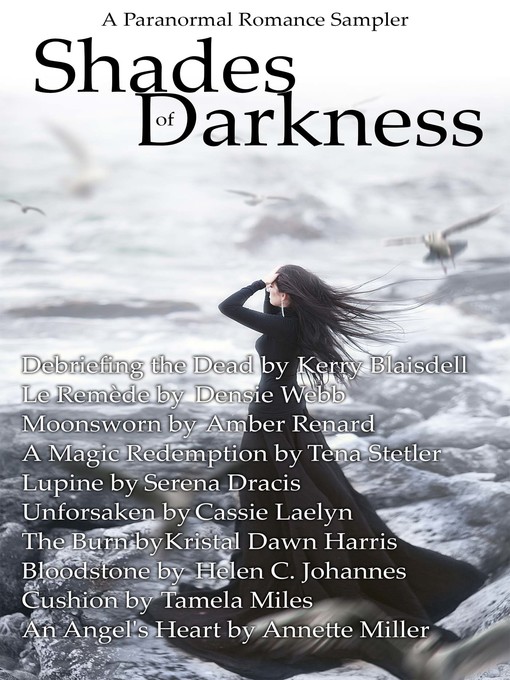 Cover image for Shades of Darkness